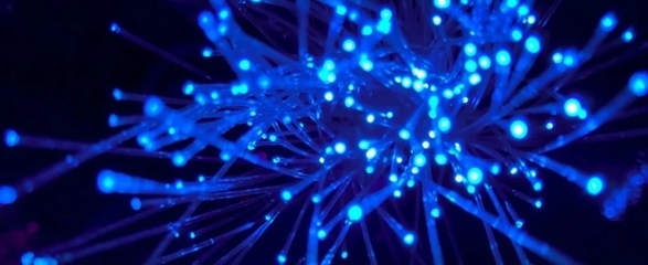 日本新技術(shù)創(chuàng)數(shù)據(jù)傳輸速度新紀(jì)錄 每秒319Tb，重塑電子產(chǎn)品未來